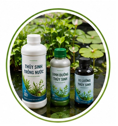 Phân thủy sinh cho cây trồng nước và cây trang trí trong bình